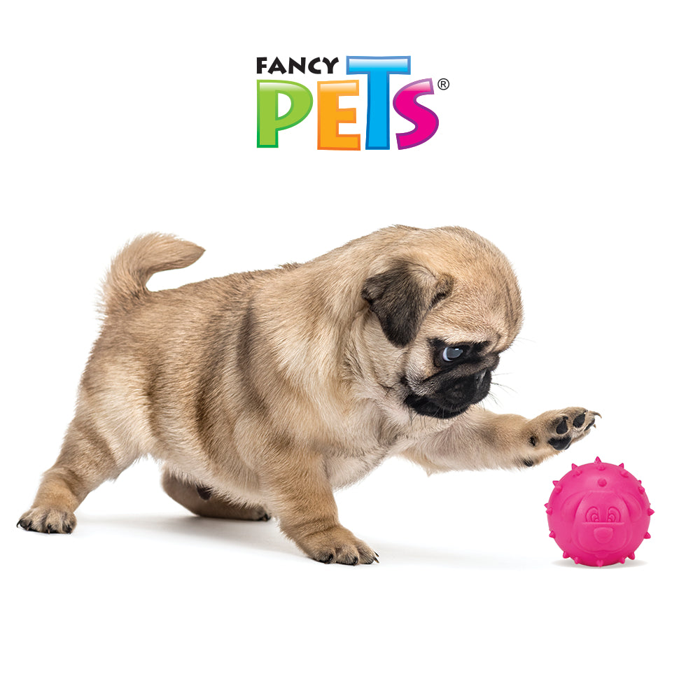 FANCY PETS - Juguete Pelota De Caucho Para Perro