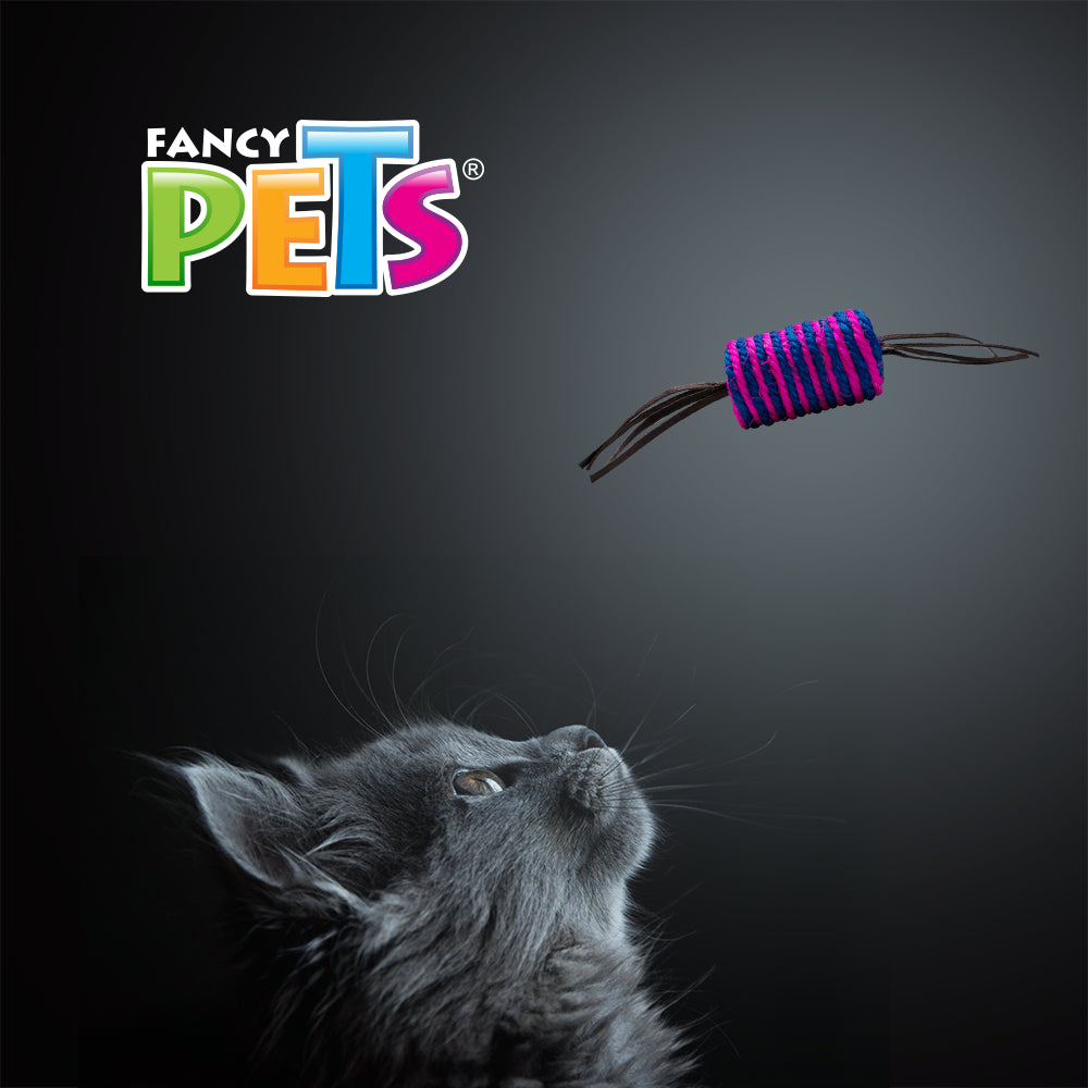FANCY PETS - Juguete para Gato Cilindro con Lienzo