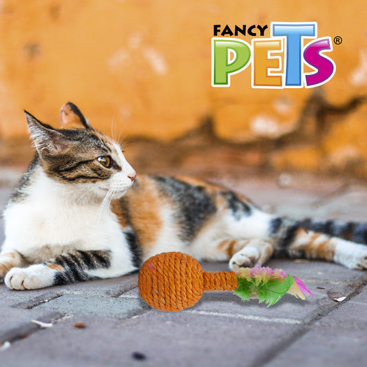 FANCY PETS - Juguete Para Gato Sonaja Con Plumas