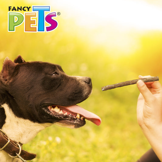 FANCY PETS - Palitos De Carnaza Para Perro Sabor Res 20 Pzas