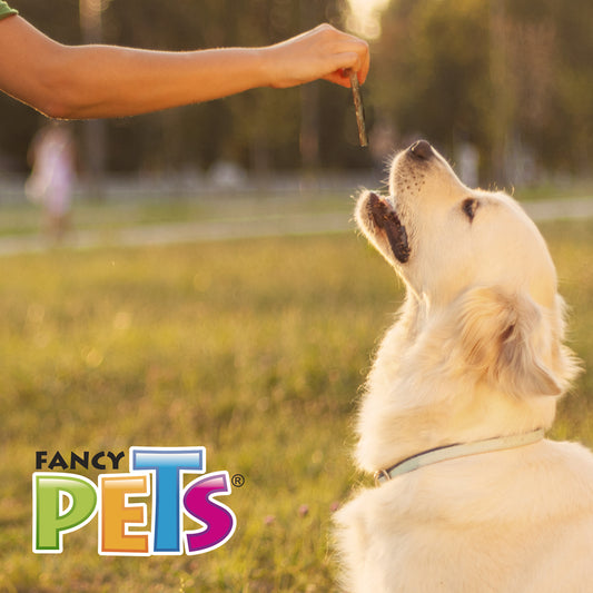 FANCY PETS - Palitos De Carnaza De Res Para Perro 20 pzas Natural