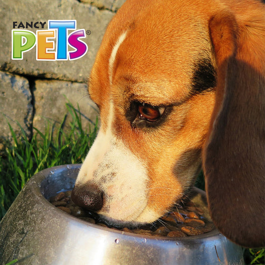 FANCY PETS - Plato de Acero Para Alimento De Mascotas 1.8 kg (64 oz)