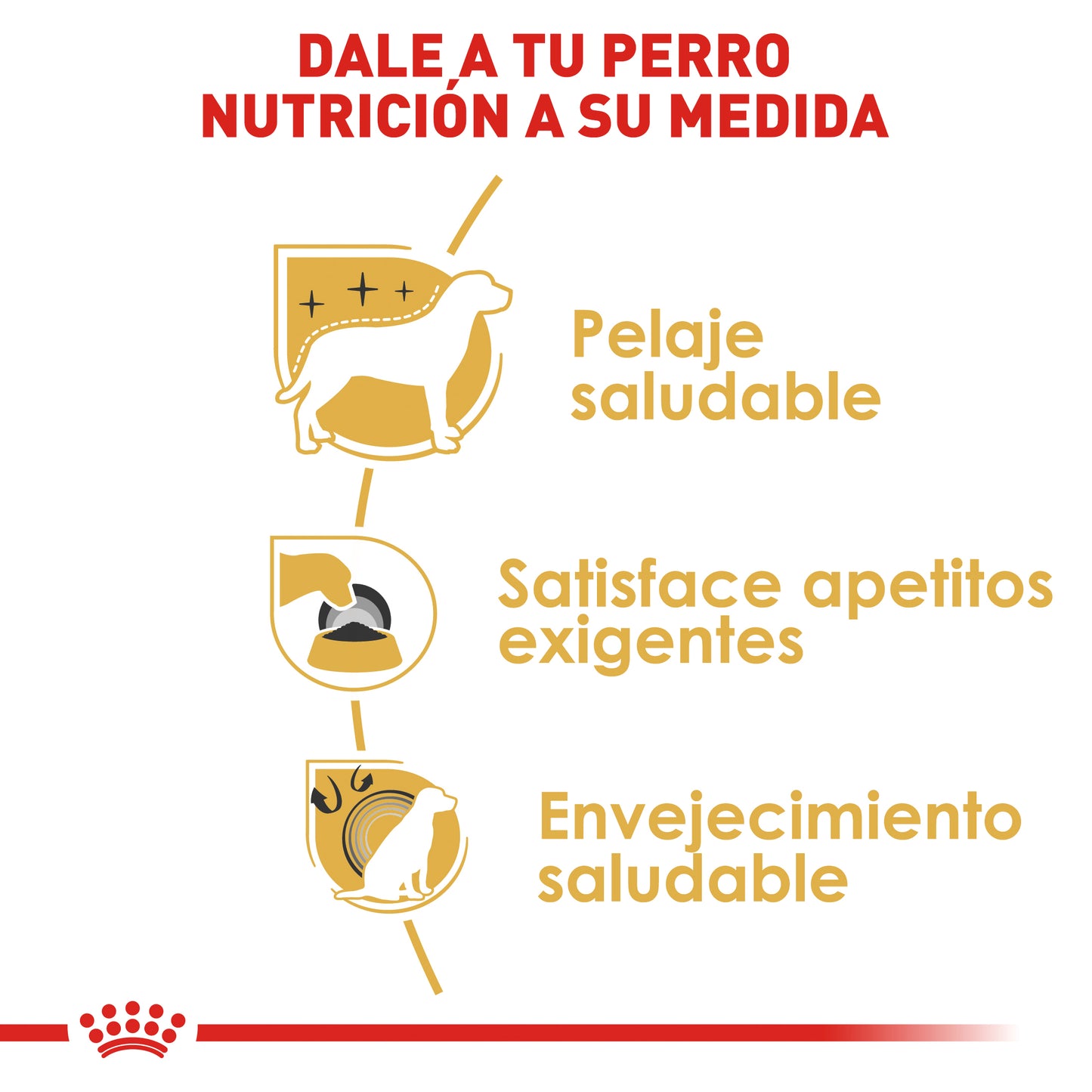 ROYAL CANIN - Alimento Seco Yorkshire Terrier Adulto 4.54 kg