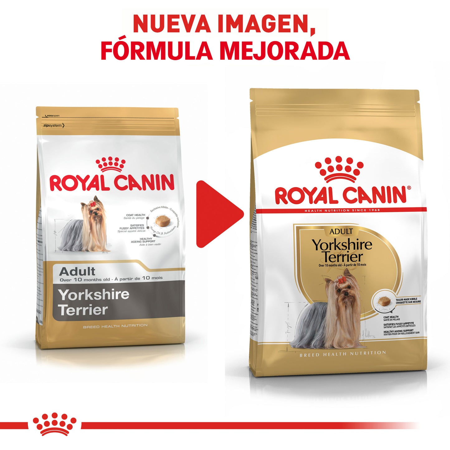 ROYAL CANIN - Alimento Seco Yorkshire Terrier Adulto 4.54 kg