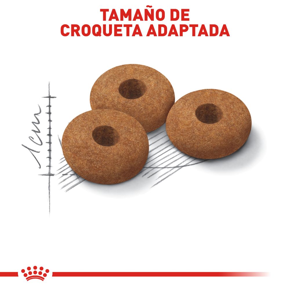 ROYAL CANIN - Apetite Control Alimento Seco Gato Esterilizado Pollo 2.7 kg