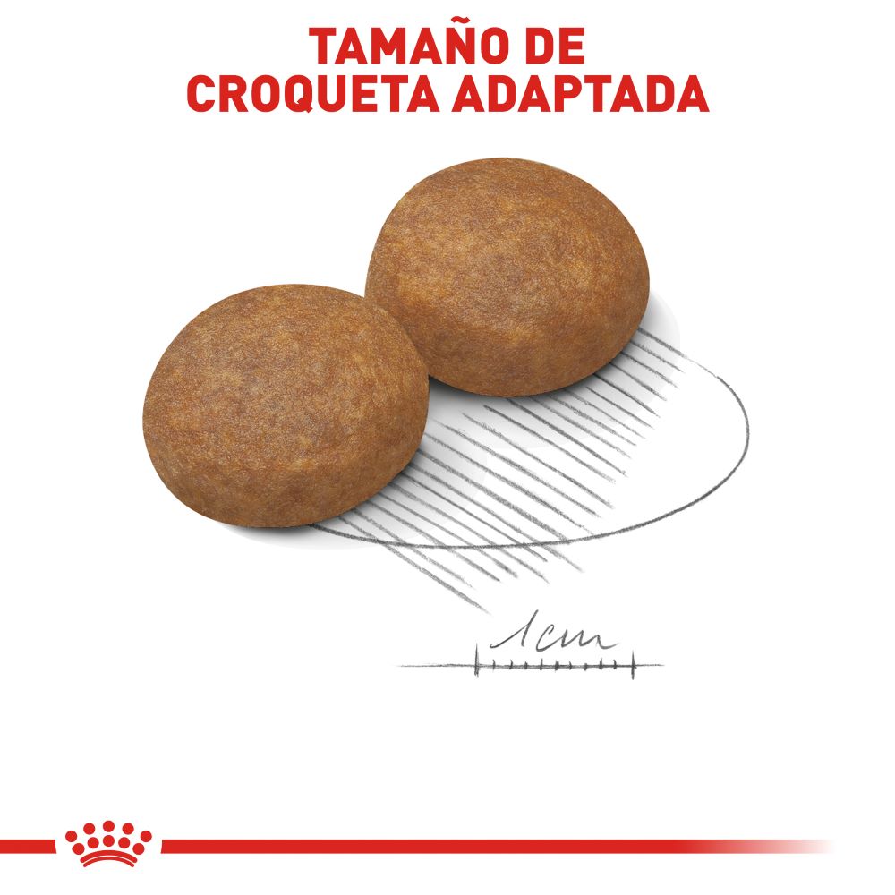 ROYAL CANIN - Alimento Seco Perro Adulto Razas Medianas 13.6 kg