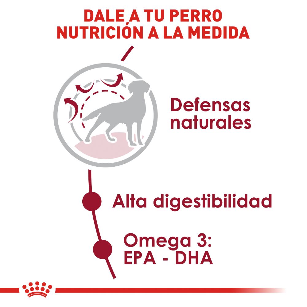 ROYAL CANIN - Alimento Seco Perro Adulto Razas Medianas 13.6 kg