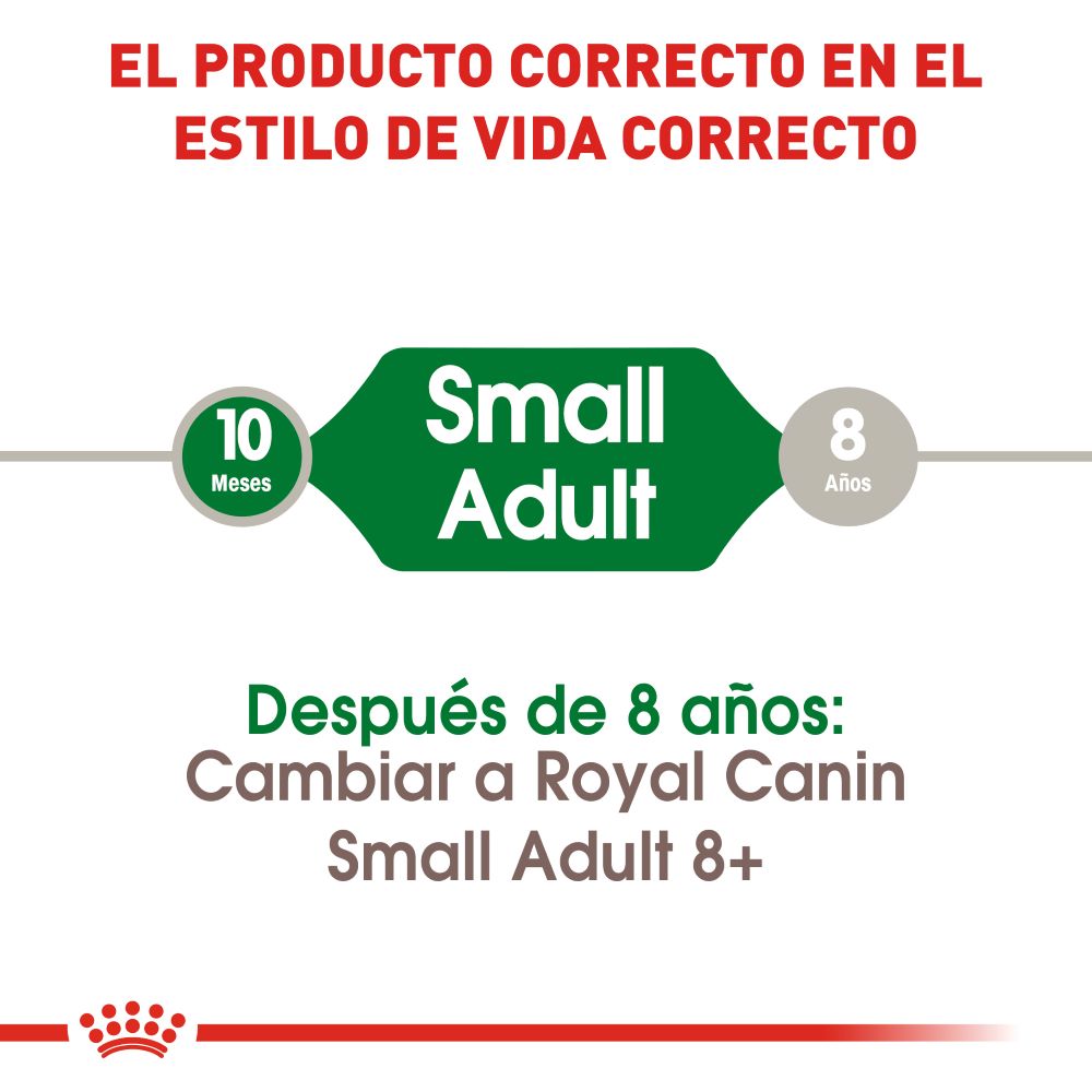 ROYAL CANIN - Mini Adult Alimento Seco Perro Adulto Razas Pequeñas 6.4 kg