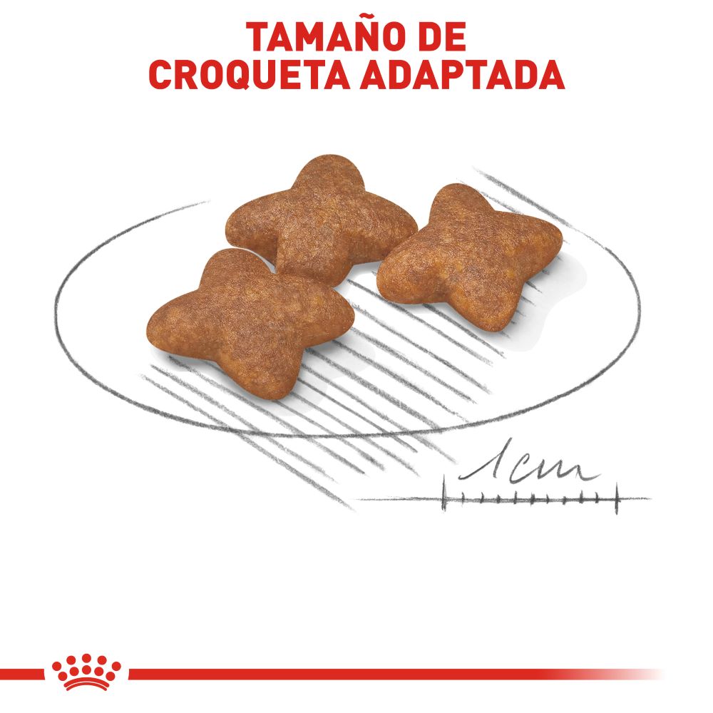 ROYAL CANIN - Mini Adult Alimento Seco Perro Adulto Razas Pequeñas 6.4 kg