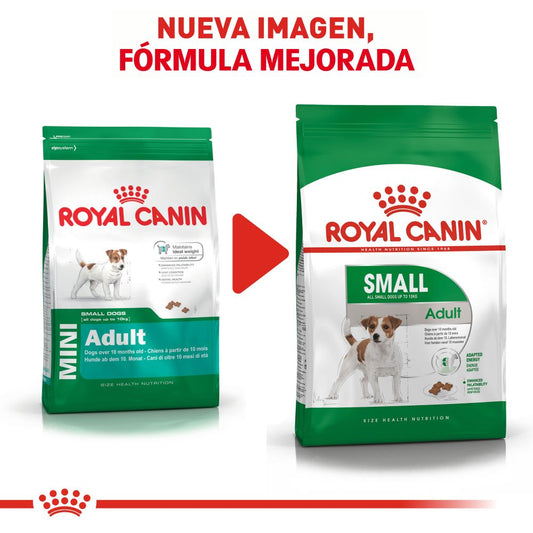 ROYAL CANIN - Alimento Seco Para Perro Adulto Razas Pequeñas 2 Kg