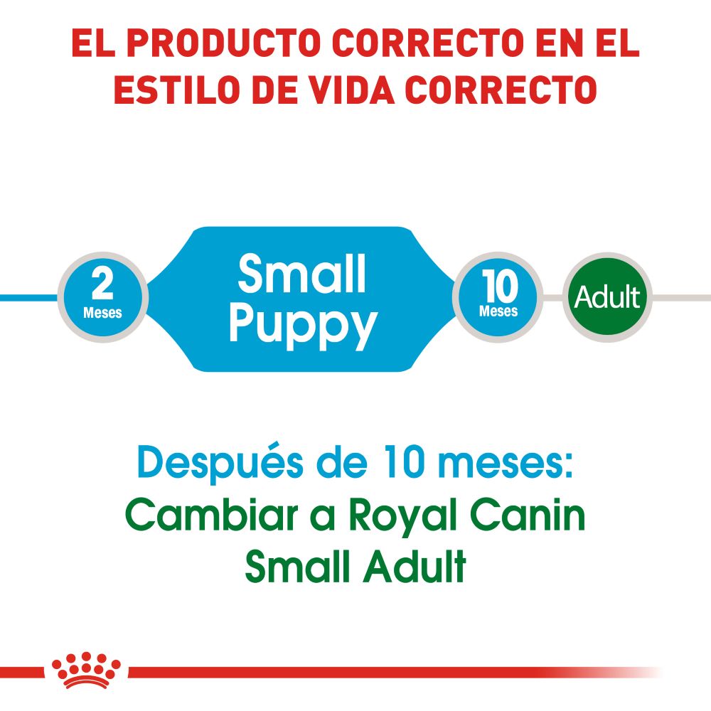 ROYAL CANIN - Mini Puppy Alimento Seco Cachorro Razas Pequeñas 5.9 kg