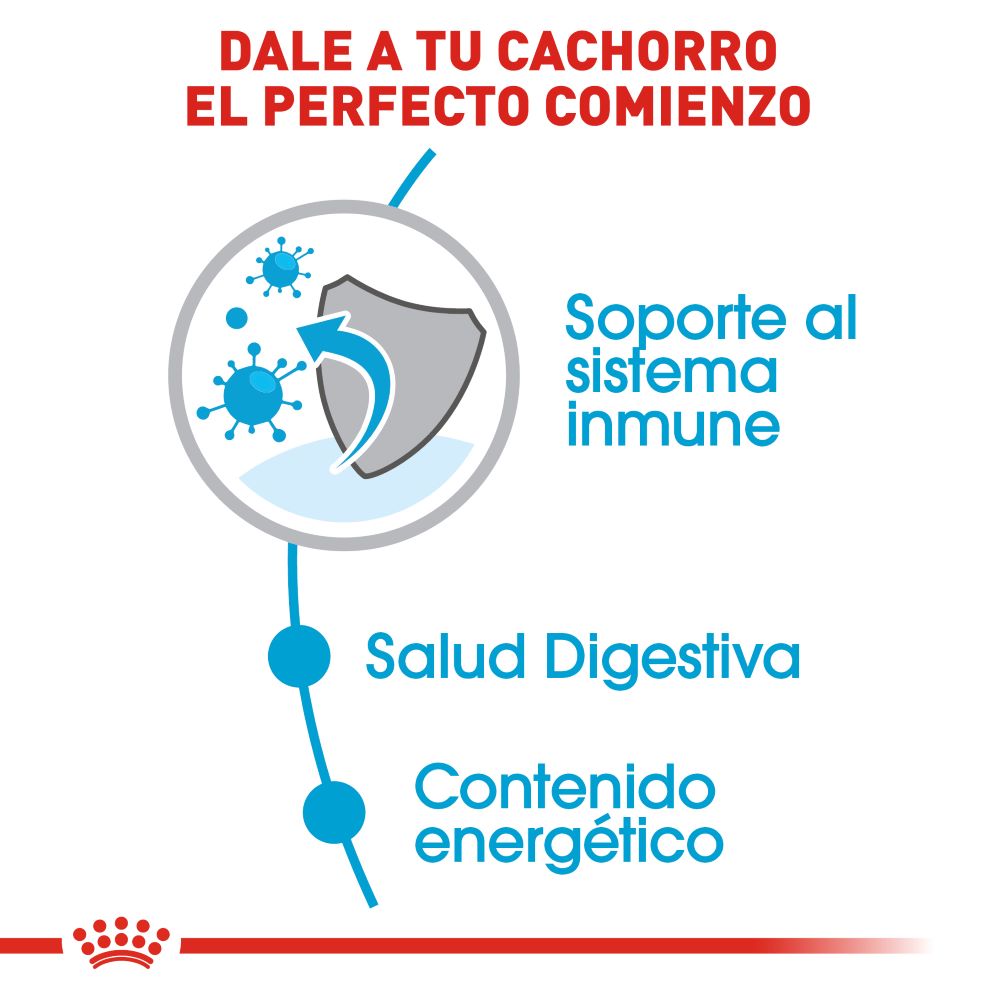 ROYAL CANIN - Mini Puppy Alimento Seco Cachorro Razas Pequeñas 5.9 kg