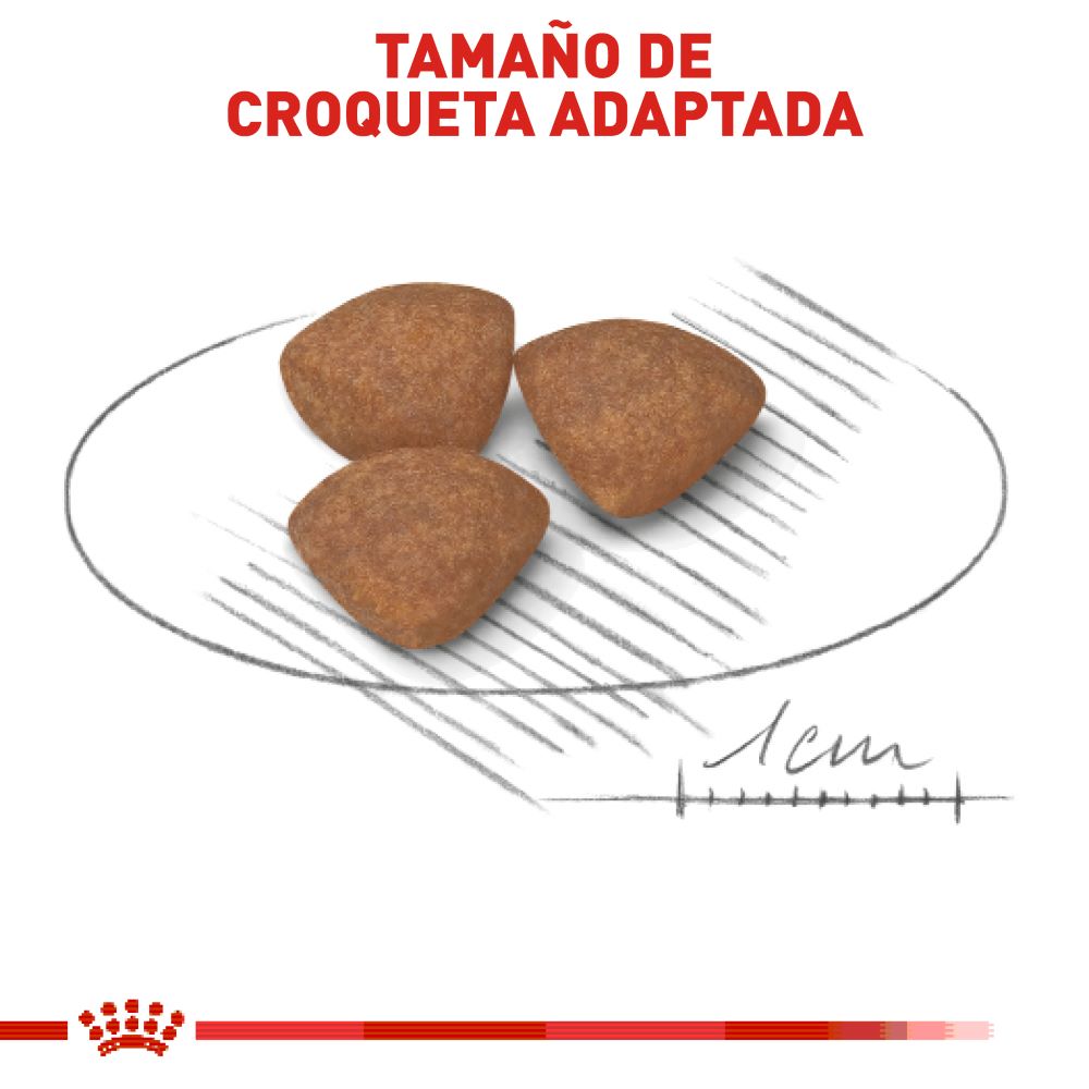 ROYAL CANIN - Mini Puppy Alimento Seco Cachorro Razas Pequeñas 5.9 kg