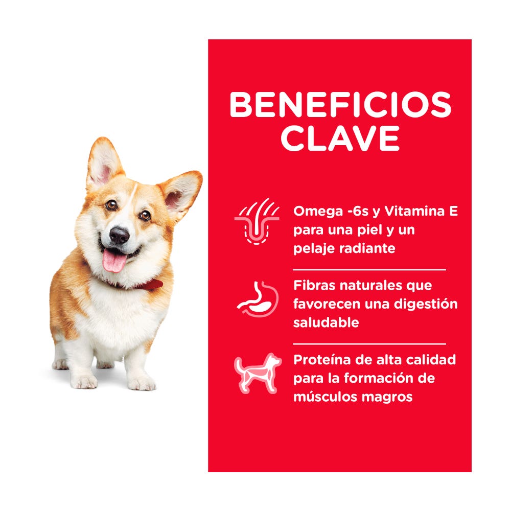 HILL'S SCIENCE DIET - Small Bites Alimento Seco Adulto Razas Medianas 2.3 kg