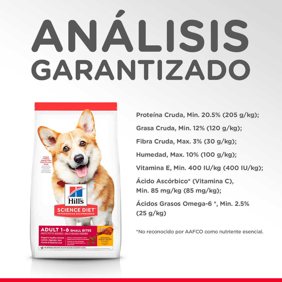 HILL'S SCIENCE DIET - Small Bites Alimento Seco Adulto Razas Medianas 2.3 kg