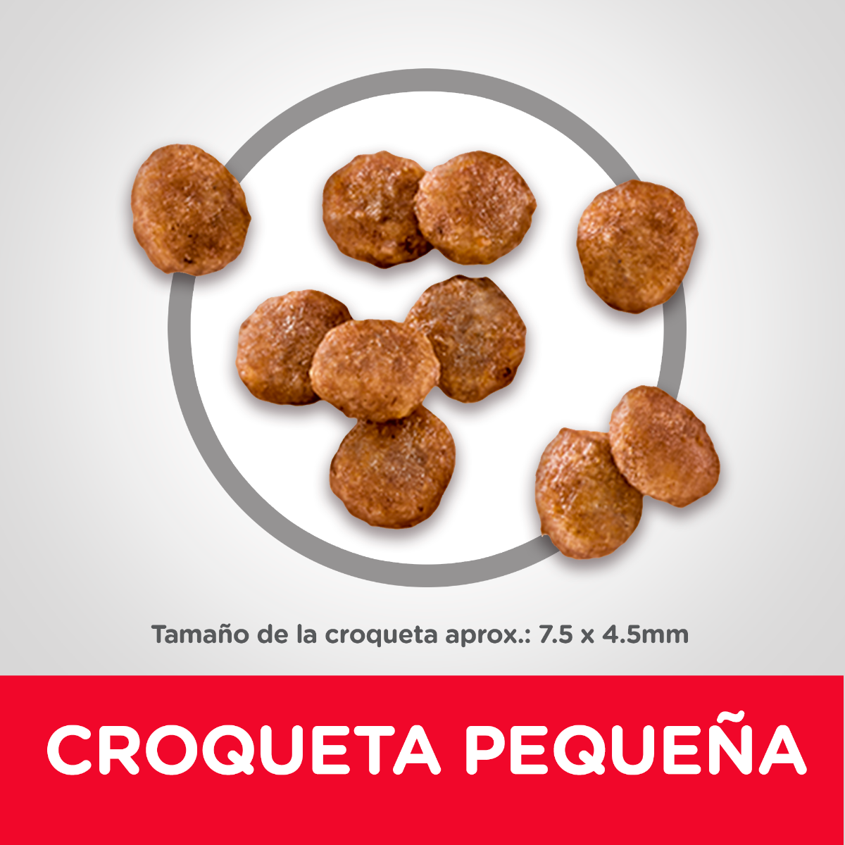 HILL'S SCIENCE DIET - Small Paws Alimento Seco Adulto Razas Mini y Pequeñas 2 kg