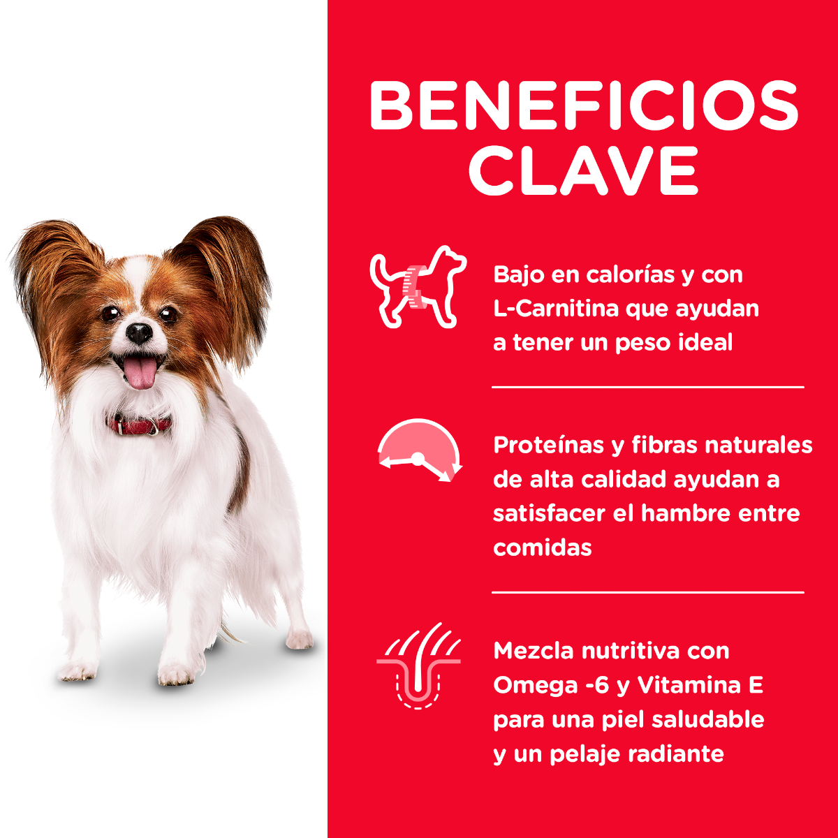 HILL'S SCIENCE DIET - Small Paws Light Alimento Seco Adulto Razas Mini y Pequeñas 7 kg