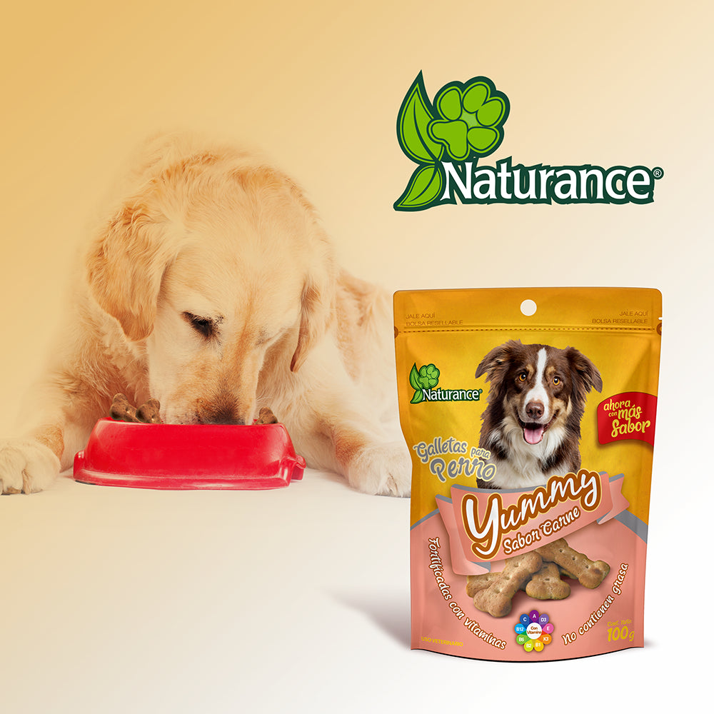 FANCY PETS - Premios Para Perro Galletas Yummy Sabor Carne