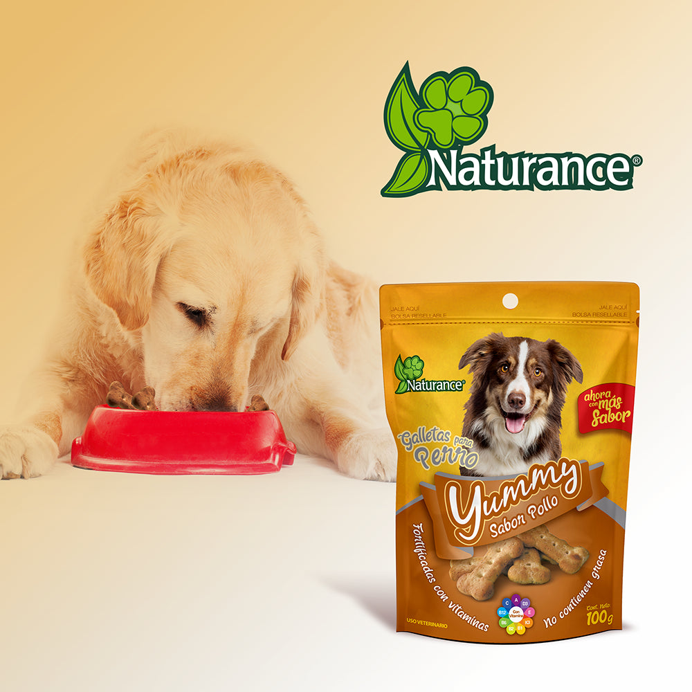 FANCY PETS - Premios Para Perro Galletas Yummy Sabor Pollo