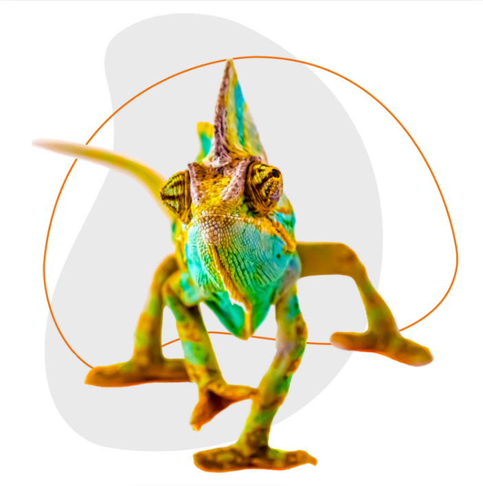 Reptiles