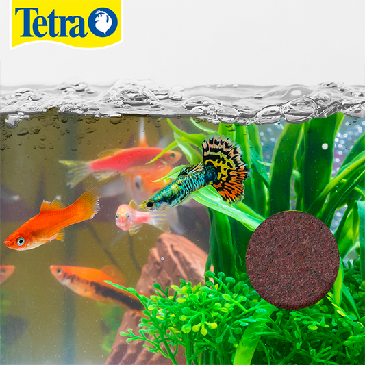 Tetra Alimento En Gel Tetravacation 24Gr Peces Tropicales Gel