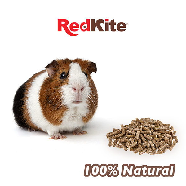 Redkite Alimento Cuyo 850 Gr Cuyo Pellet