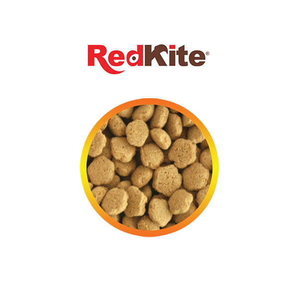Alimentos Wardley Hamster 450 Grs Hamster Pellet