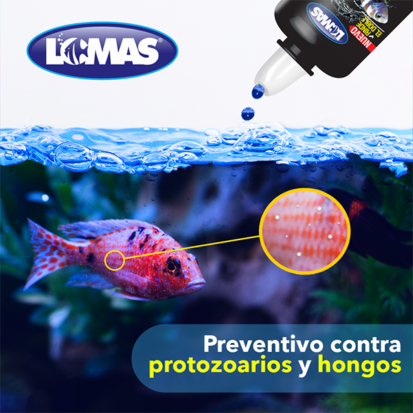 Farmaceuticos Lomas Azul De Metileno Todas Las Etapas Salud