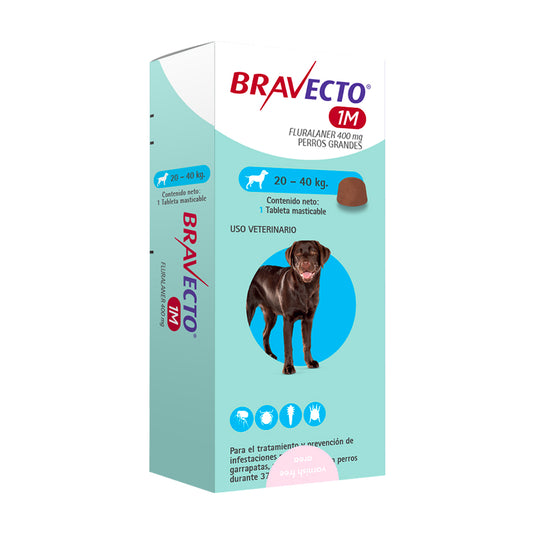 Msd Bravecto P/Perro 1 M 400 Mg De 20 A 40 K Antipulgas Tableta