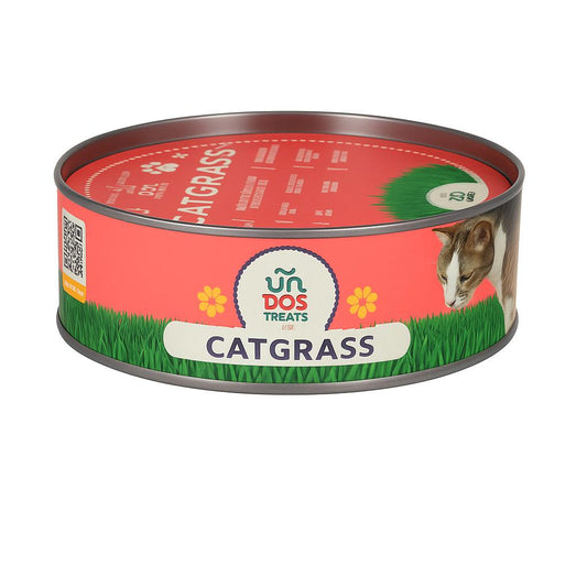Cat Grass Alimento Premium Lata Pasto De Trigo