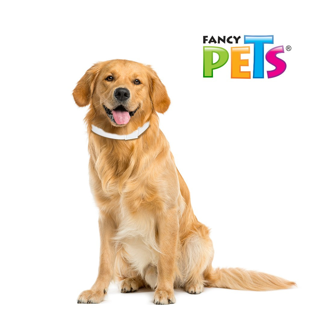 COLLAR ANTIPULGAS PARA PERRO MEDICAL SOLUTIONS RAZAS GRANDES