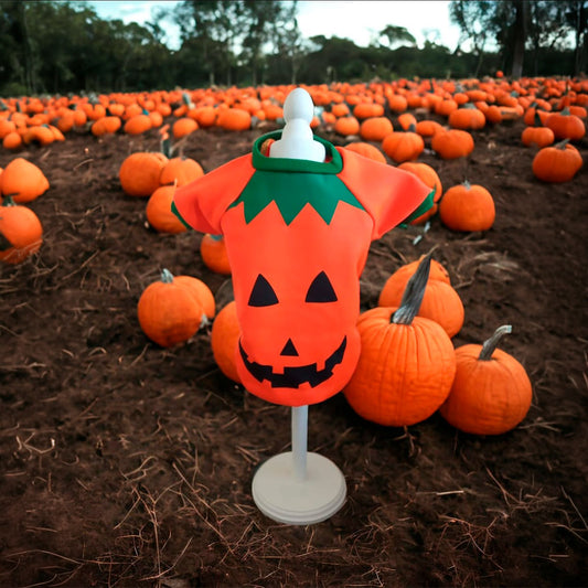 DINASTY - Disfraz Para Perro Diseño Calabaza T5