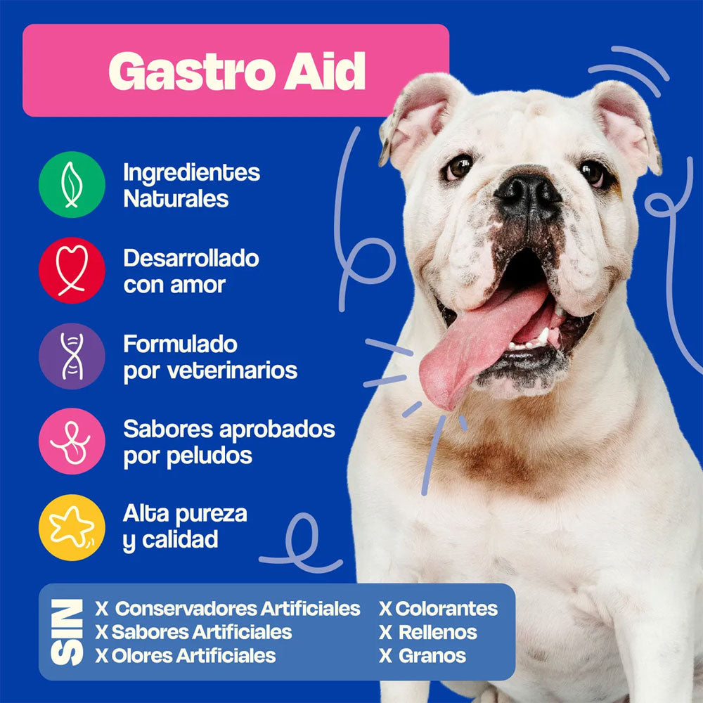 DOGELTHY - Suplemento Gastrointestinal Para Perro Sabor Cerdo Gastro Aid 270 g