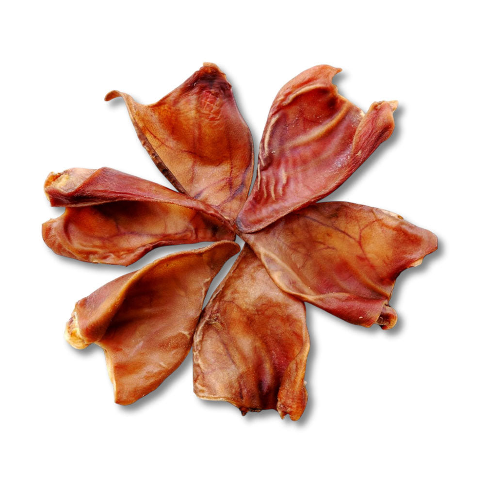 DOGGER - Premio Oreja De Cerdo Para Perro