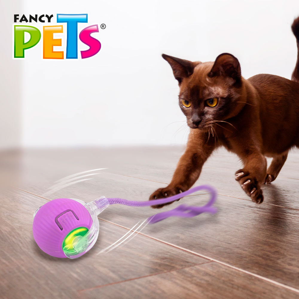 FANCY PETS - Juguete Pelota Crazy Con Luz Y Movimiento Para Gato