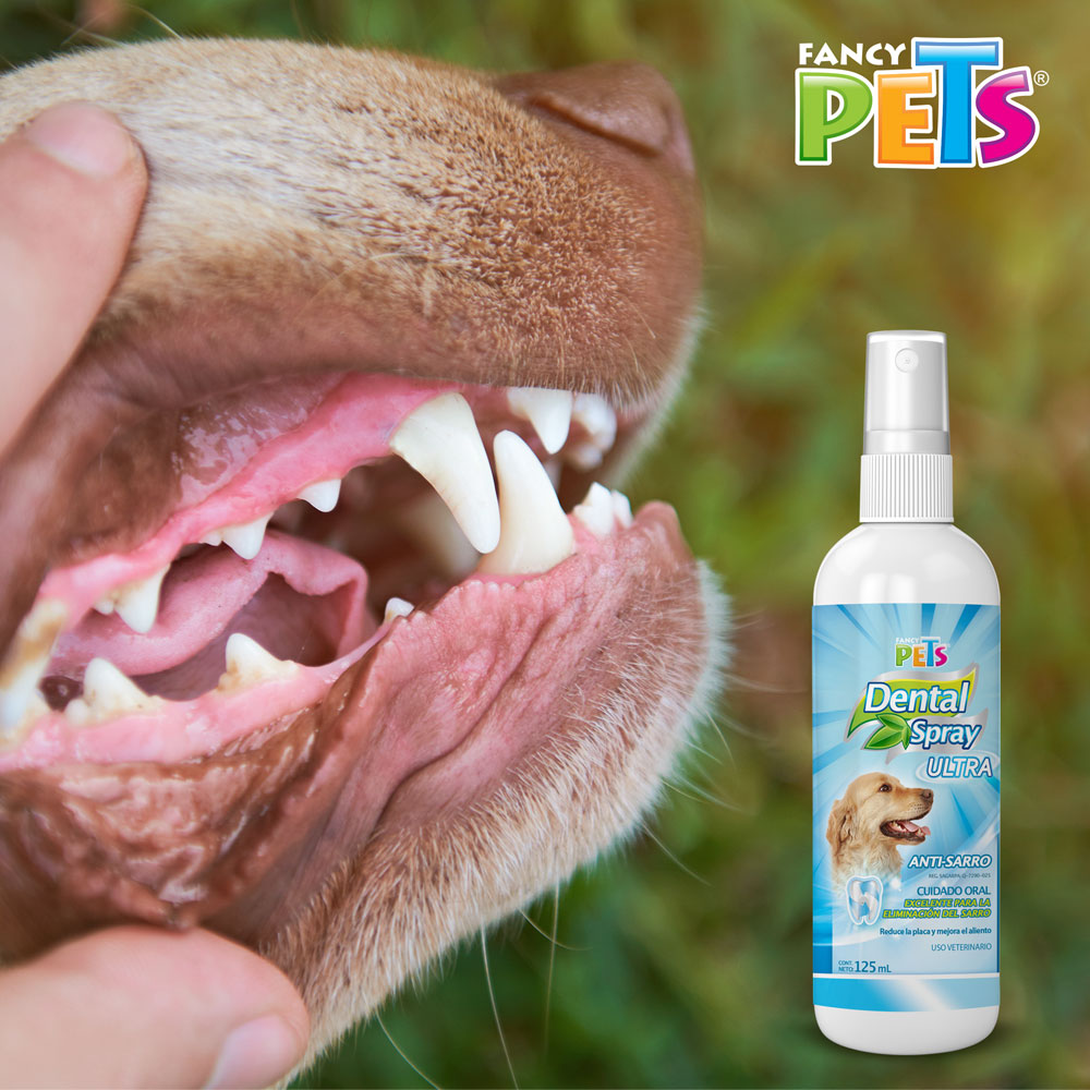 FANCY PETS - Spray Dental Ultra Para Perro 125 ml