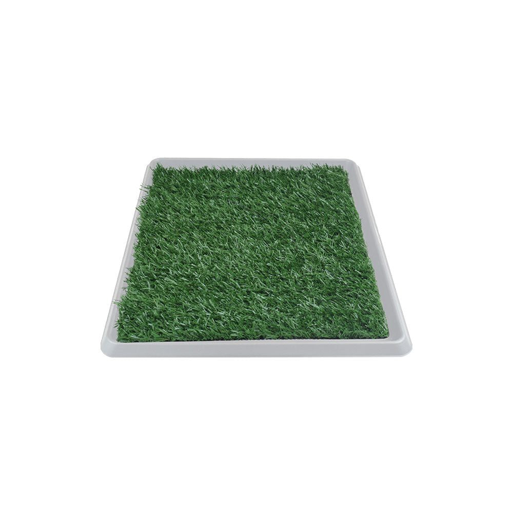 FANCY PETS - Tapete Entrenador Grande Para Perro 50 x 40 cm
