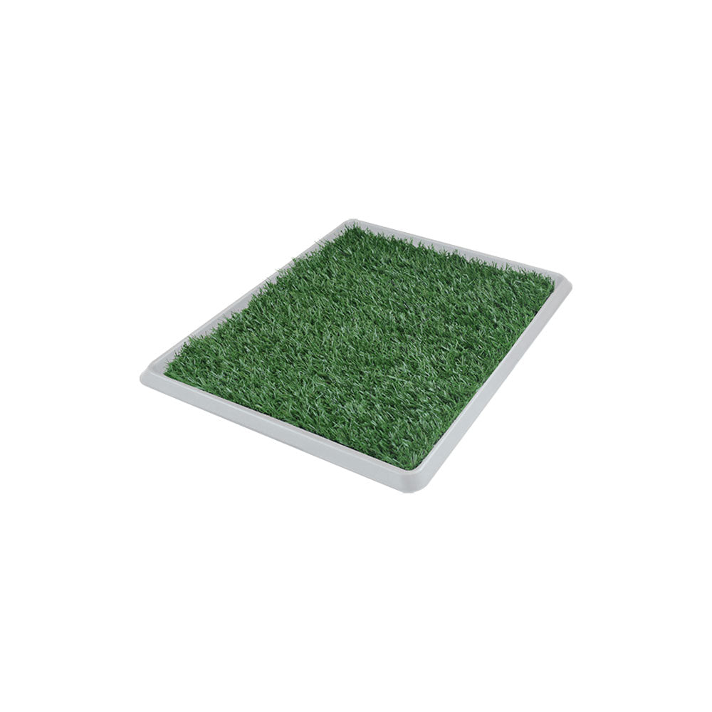 FANCY PETS - Tapete Entrenador Grande Para Perro 50 x 40 cm