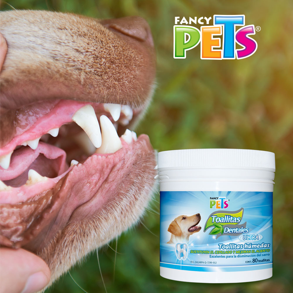 FANCY PETS - Toallitas Dentales Para Perro 80 Pzas