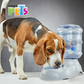 FANCY PETS - Bebedero Chico Para Mascotas 3.8 L