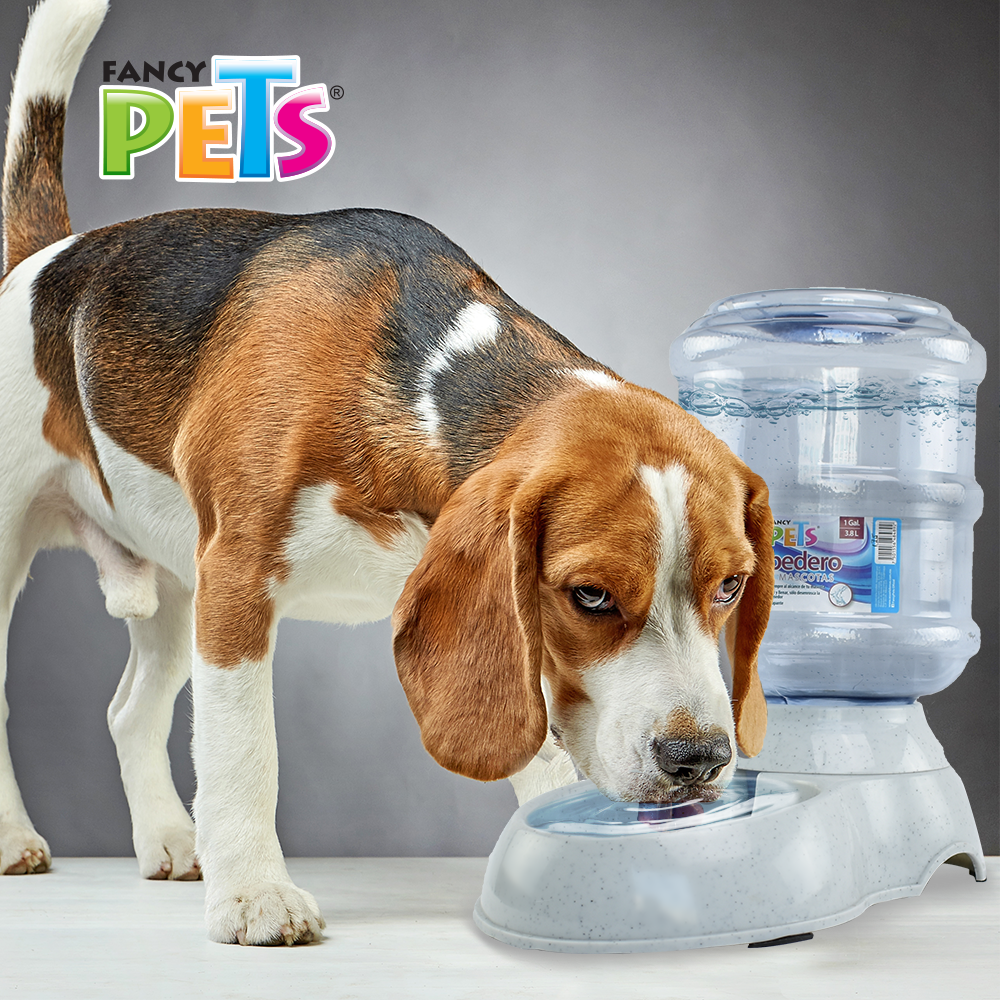 FANCY PETS - Bebedero Chico Para Mascotas 3.8 L