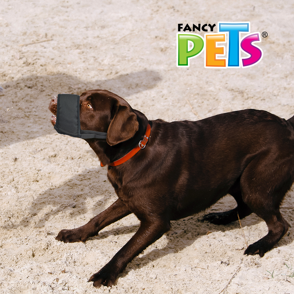 FANCY PETS - Bozal Para Perro Con Forro De Malla Med