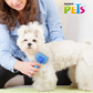 FANCY PETS - Carda Chica Para Perro