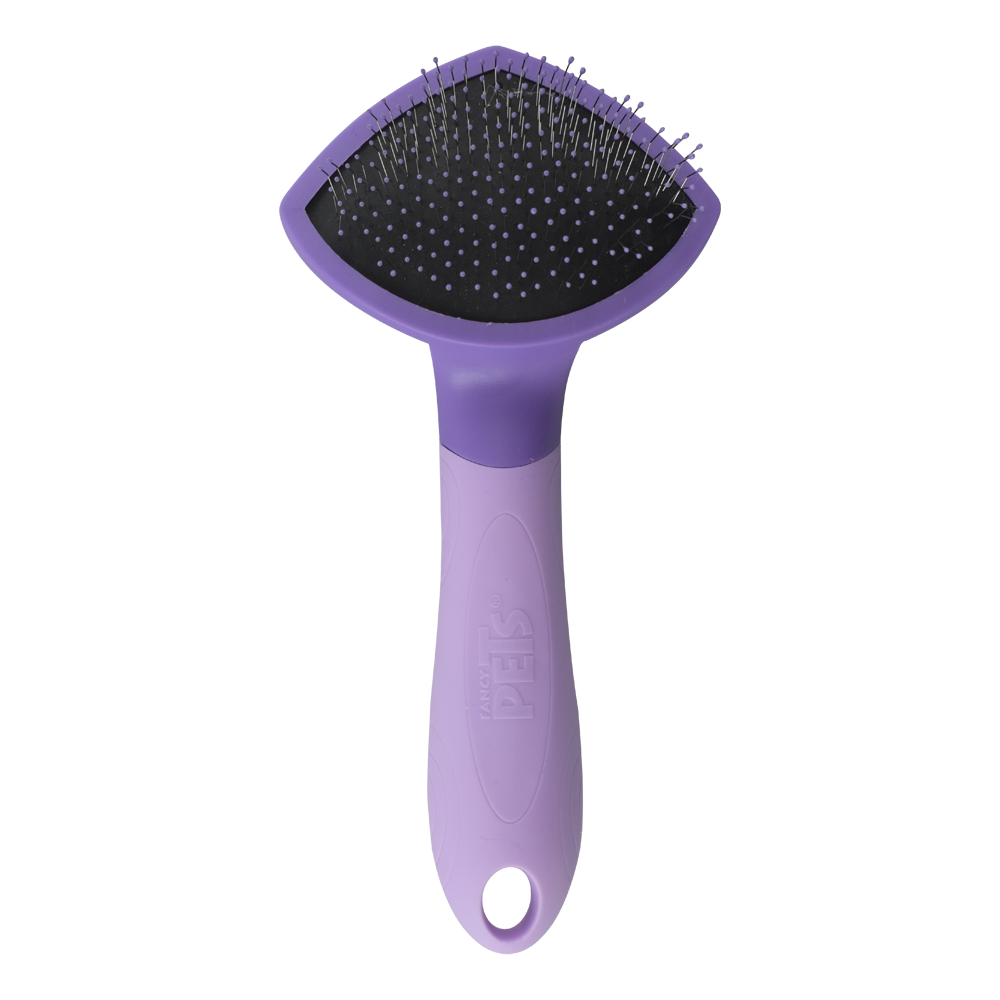 FANCY PETS - Carda Para Gato Expert