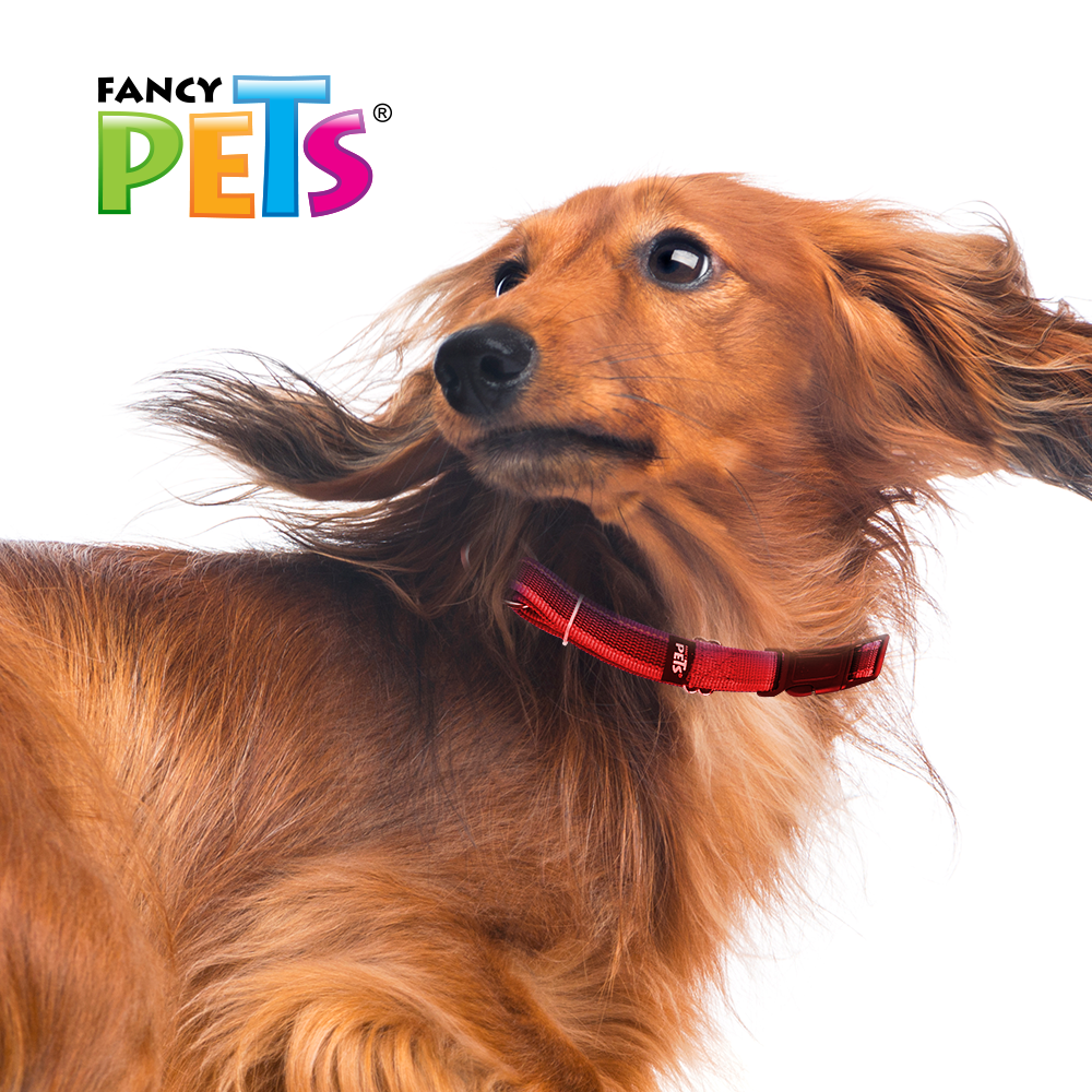 FANCY PETS - Collar Reflejante Rojo Para Perro Med