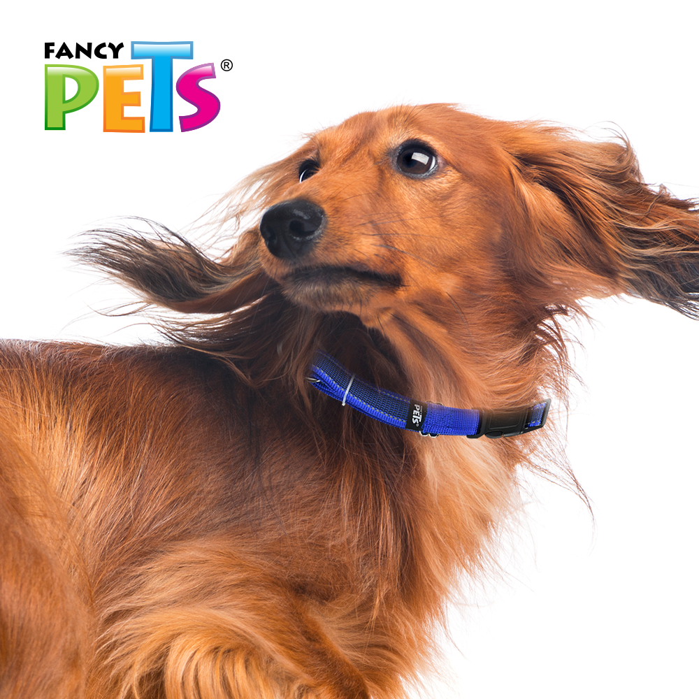 FANCY PETS - Collar Reflejante Azul Para Perro Med