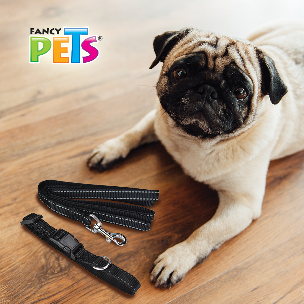 FANCY PETS - Correa Y Collar Reflejante Ajustable Ch Para Perro