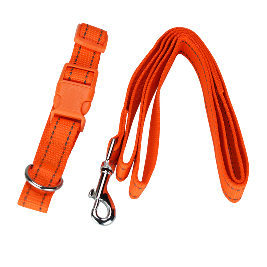 FANCY PETS - Correa Y Collar Reflejante Ajustable Med Para Perro