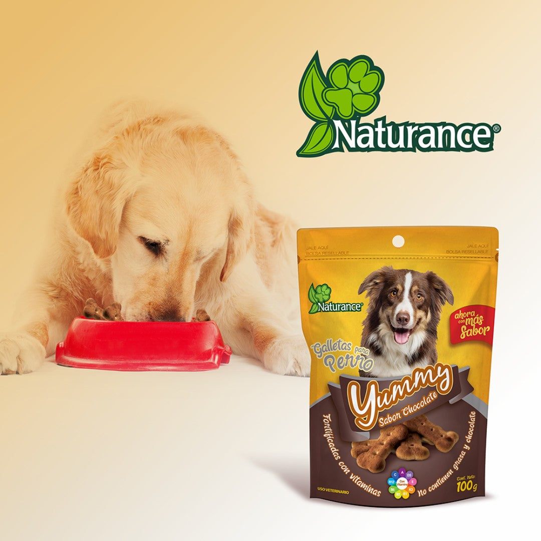 FANCY PETS - Premio Para Perro Galletas Yummy Sabor Chocolate