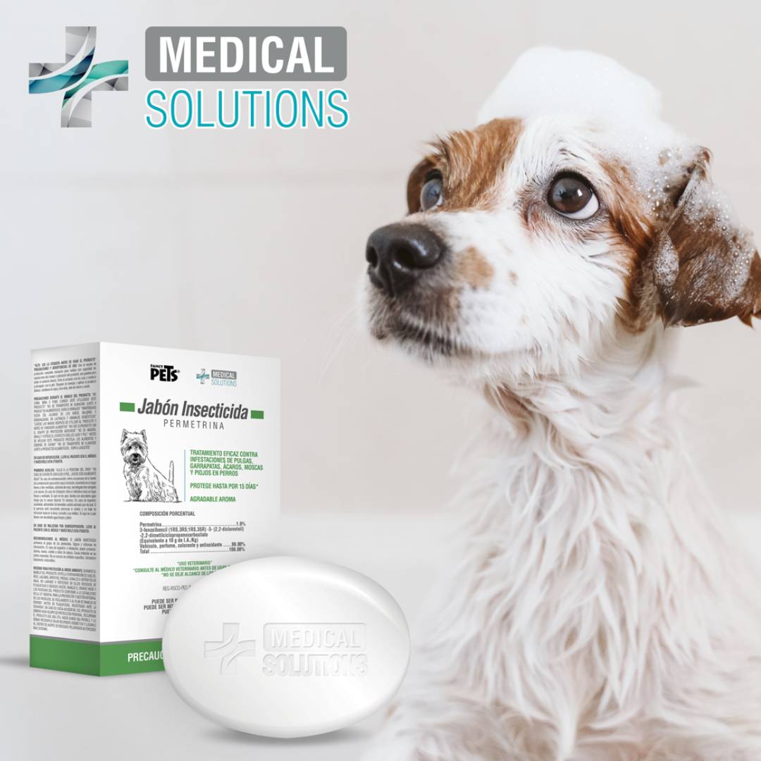 FANCY PETS - Jabón Insecticida 100 G